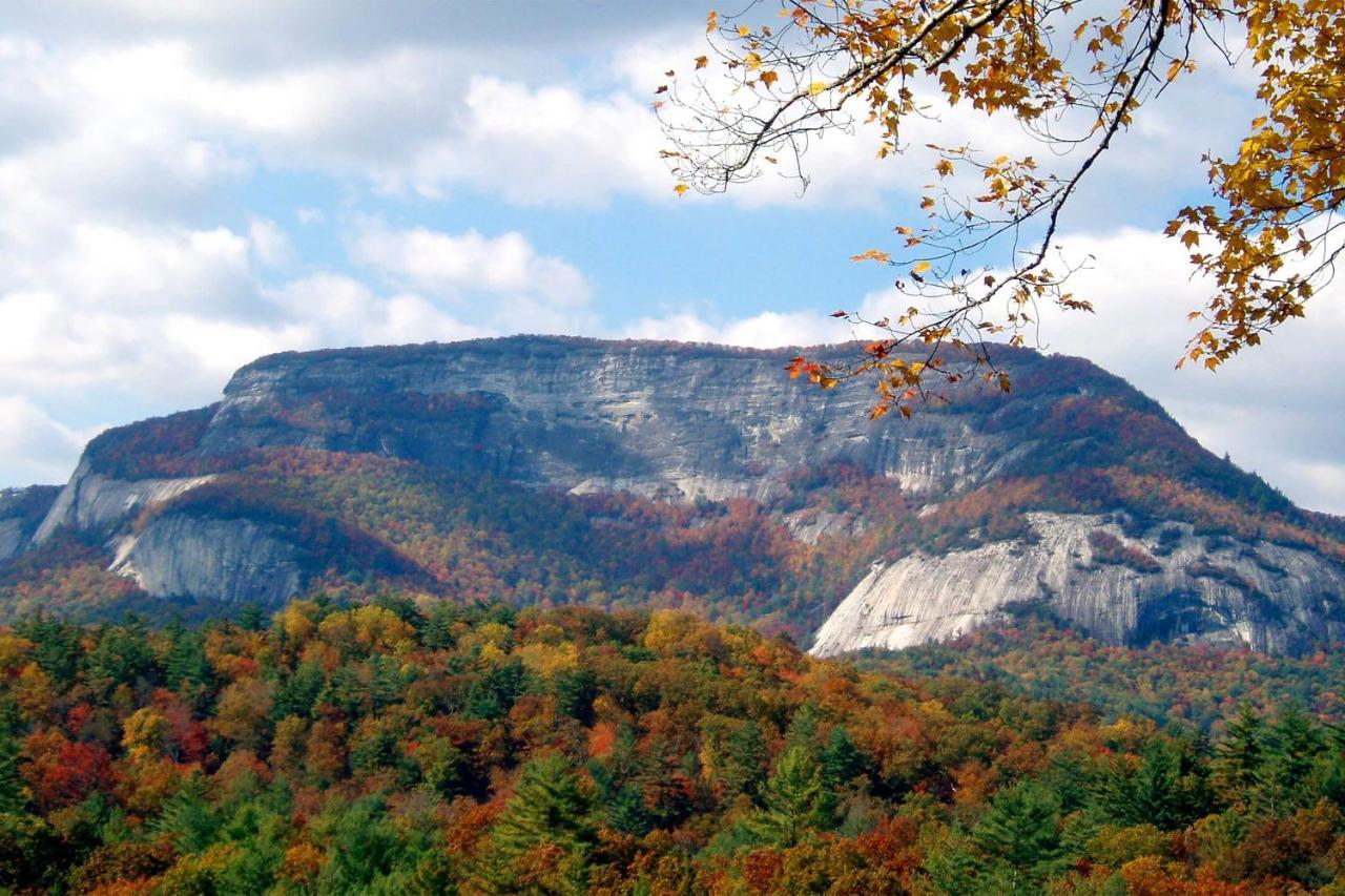 Heavenly Bearadise Cabin In Cashiers, Nc! Exteriör bild