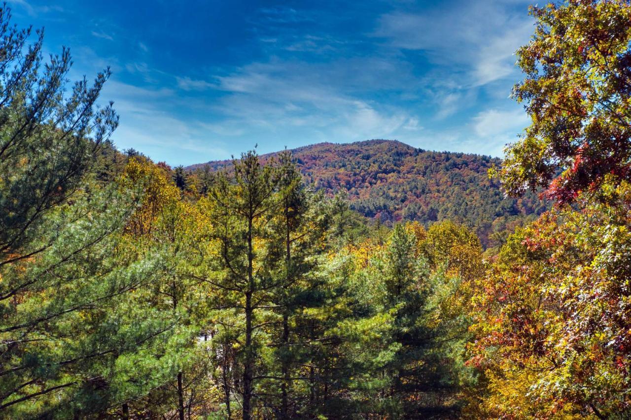 Heavenly Bearadise Cabin In Cashiers, Nc! Exteriör bild